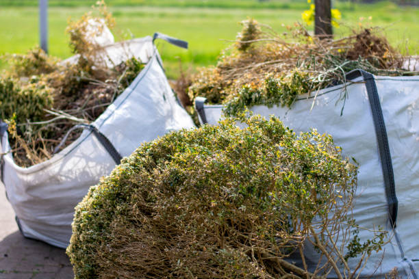 Professional Junk Removal Services in Ralls, TX